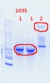 Thumbnail for version as of 15:00, 23 July 2013
