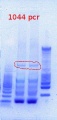 Thumbnail for version as of 18:36, 18 January 2013