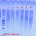 Thumbnail for version as of 15:30, 6 August 2012