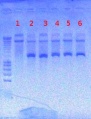 Thumbnail for version as of 16:04, 20 August 2012
