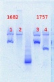 Thumbnail for version as of 10:26, 7 June 2013