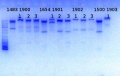 Thumbnail for version as of 16:20, 25 October 2013
