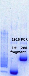RTENOTITLE