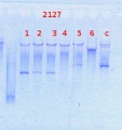 Thumbnail for version as of 15:07, 24 March 2014