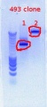 Thumbnail for version as of 14:35, 4 January 2012