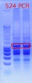 Thumbnail for version as of 11:52, 24 January 2012
