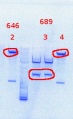 Thumbnail for version as of 13:14, 11 October 2013