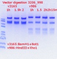 Thumbnail for version as of 12:40, 7 August 2018