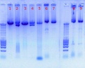 Thumbnail for version as of 09:20, 28 September 2011