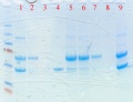 Thumbnail for version as of 16:11, 29 April 2011