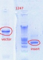 Thumbnail for version as of 10:08, 17 July 2012