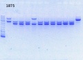 Thumbnail for version as of 10:08, 13 November 2013