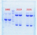 Thumbnail for version as of 15:45, 21 March 2014
