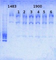 Thumbnail for version as of 16:17, 25 October 2013