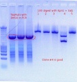 Thumbnail for version as of 20:00, 4 September 2011