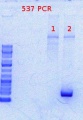 Thumbnail for version as of 09:47, 2 May 2012