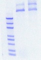 Thumbnail for version as of 16:34, 16 June 2017