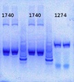 Thumbnail for version as of 15:43, 20 May 2013