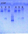 Thumbnail for version as of 16:20, 22 May 2013