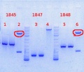 Thumbnail for version as of 09:54, 23 September 2013