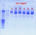 Thumbnail for version as of 15:26, 6 January 2012
