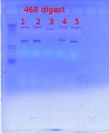Thumbnail for version as of 16:09, 23 January 2012