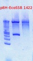 Thumbnail for version as of 17:01, 17 December 2012