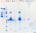 Thumbnail for version as of 13:21, 28 September 2013