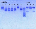 Thumbnail for version as of 15:42, 25 April 2013