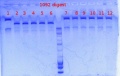 Thumbnail for version as of 10:20, 15 May 2012