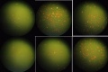Thumbnail for version as of 17:58, 10 October 2012