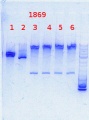 Thumbnail for version as of 11:49, 23 October 2013
