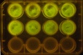 Thumbnail for version as of 14:07, 7 January 2012