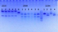 Thumbnail for version as of 12:39, 26 August 2014