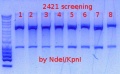Thumbnail for version as of 14:46, 23 April 2015