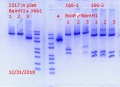 Thumbnail for version as of 16:40, 1 January 2019