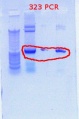 Thumbnail for version as of 16:00, 29 December 2011