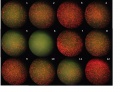 Thumbnail for version as of 16:08, 15 November 2011
