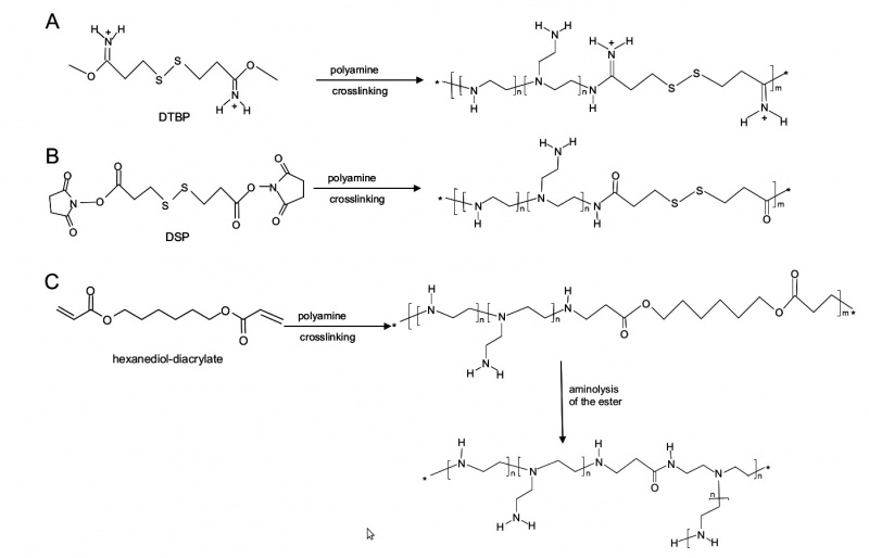 File:Polyamine reactions.jpg