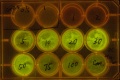 Thumbnail for version as of 10:41, 29 October 2011