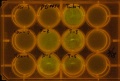 Thumbnail for version as of 11:55, 21 February 2011