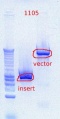 Thumbnail for version as of 14:05, 13 July 2012
