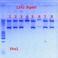 Thumbnail for version as of 15:41, 19 July 2012