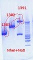 Thumbnail for version as of 13:51, 10 October 2012