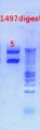 Thumbnail for version as of 11:16, 11 December 2012