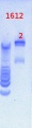 Thumbnail for version as of 15:21, 28 January 2013