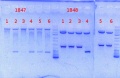Thumbnail for version as of 10:59, 23 September 2013