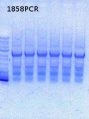 Thumbnail for version as of 13:22, 21 October 2013