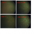 Thumbnail for version as of 10:48, 21 April 2014