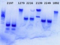 Thumbnail for version as of 16:20, 7 July 2014